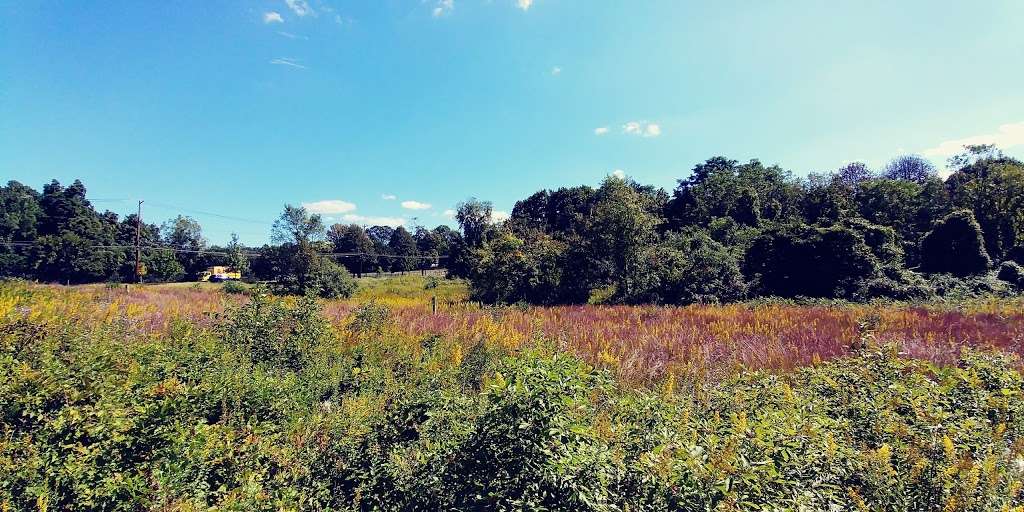 Guggenheim Preserve | Sands Point, NY 11050, USA