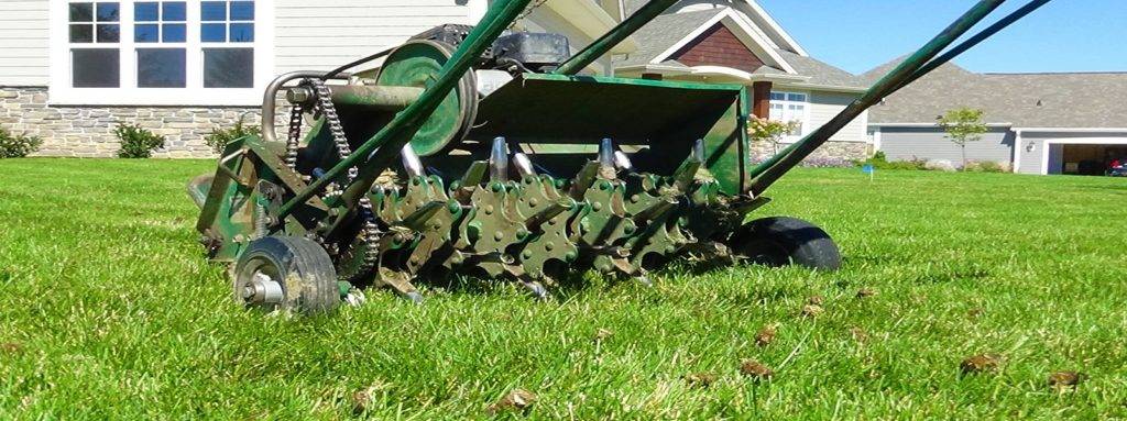 LCS Lawn and Tree Service, Inc. - St. Paul Branch | 1177 Century Ave N, Maplewood, MN 55119, USA | Phone: (651) 731-5296