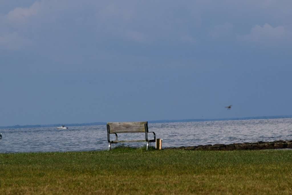 Flounder Pavilion Beach Front - Sandy Point State Park | Annapolis, MD 21409, USA | Phone: (410) 974-2149