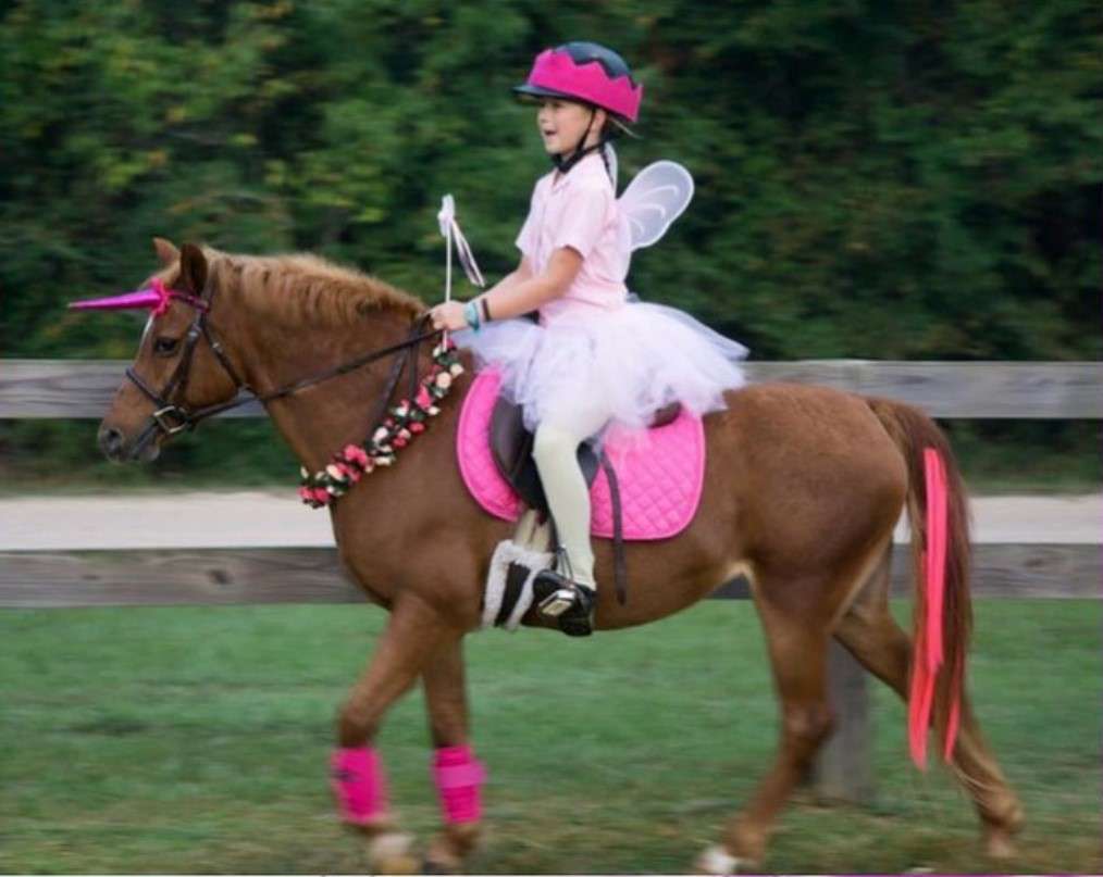 Edgebrook Equestrian | 3501 Jackson Rd, Montgomery, TX 77316, USA | Phone: (281) 814-7279