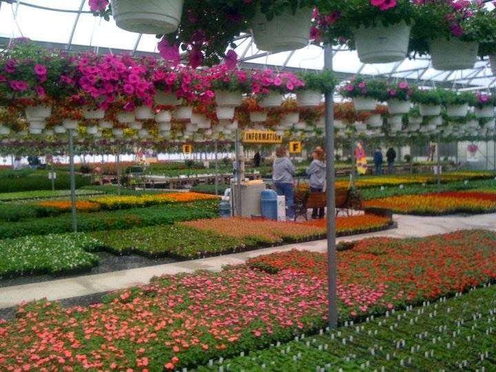 Taylors Greenhouse | 265 Fairgrounds Rd, Biglerville, PA 17307, USA | Phone: (717) 677-7471