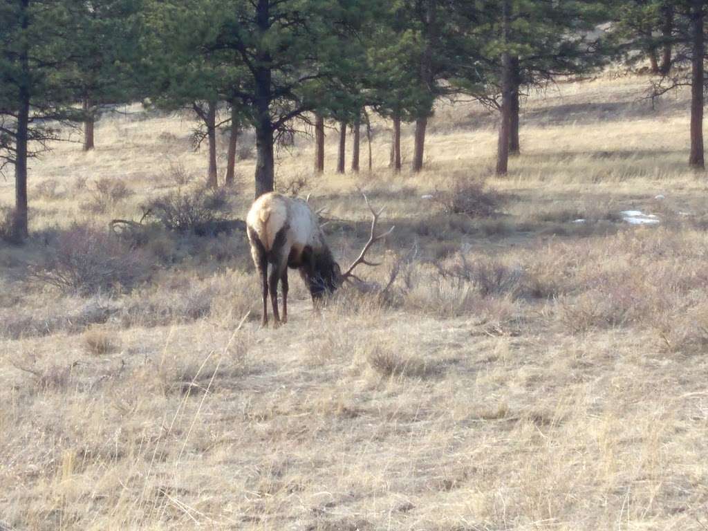 Rocky Mountain Title | 455 E Wonder View Ave # 2B, Estes Park, CO 80517, USA | Phone: (970) 577-1511