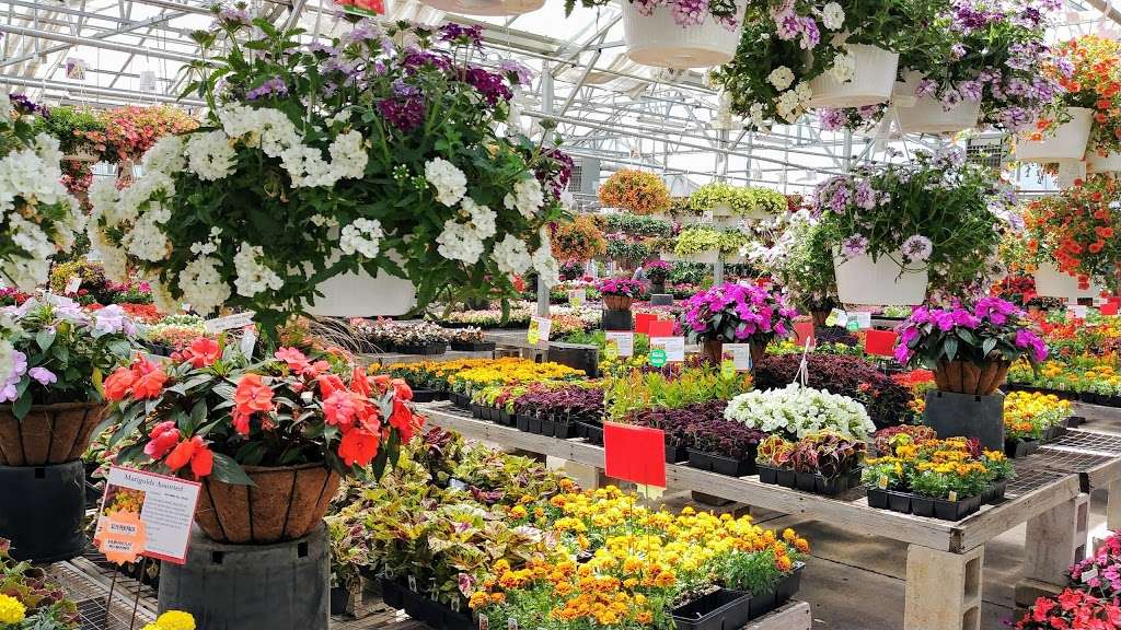 Brock Farms Home & Garden World | 4189 U.S. 9, Freehold, NJ 07728, USA | Phone: (732) 462-2700