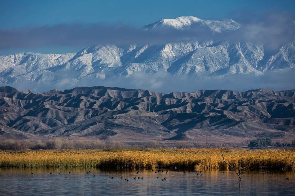 San Jacinto Wildlife Area | 17050 Davis St, Lakeview, CA 92567, USA | Phone: (951) 928-0580