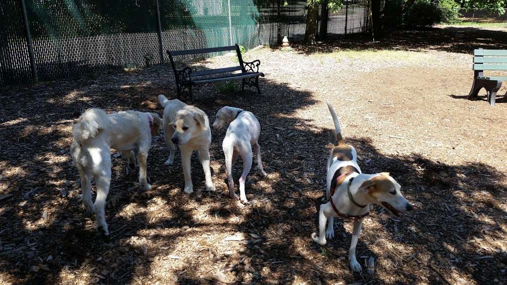 Medway Dog Park | 298 Village St, Medway, MA 02053, USA