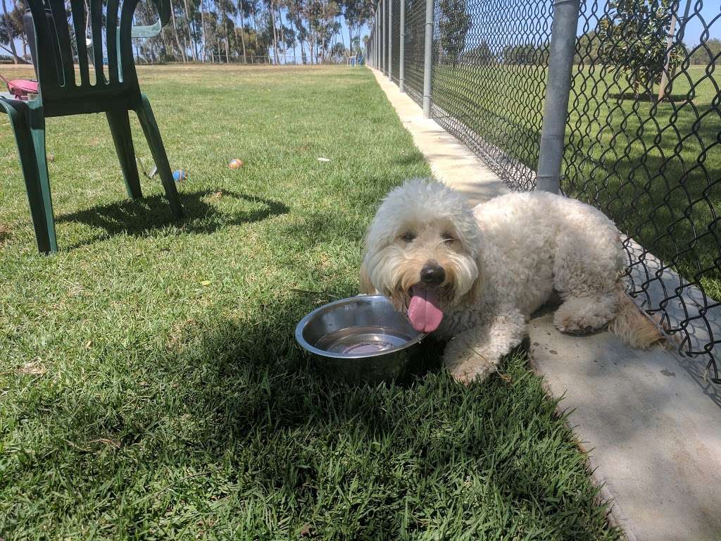 Torrey Pines Dog Park | San Diego, CA 92130, USA