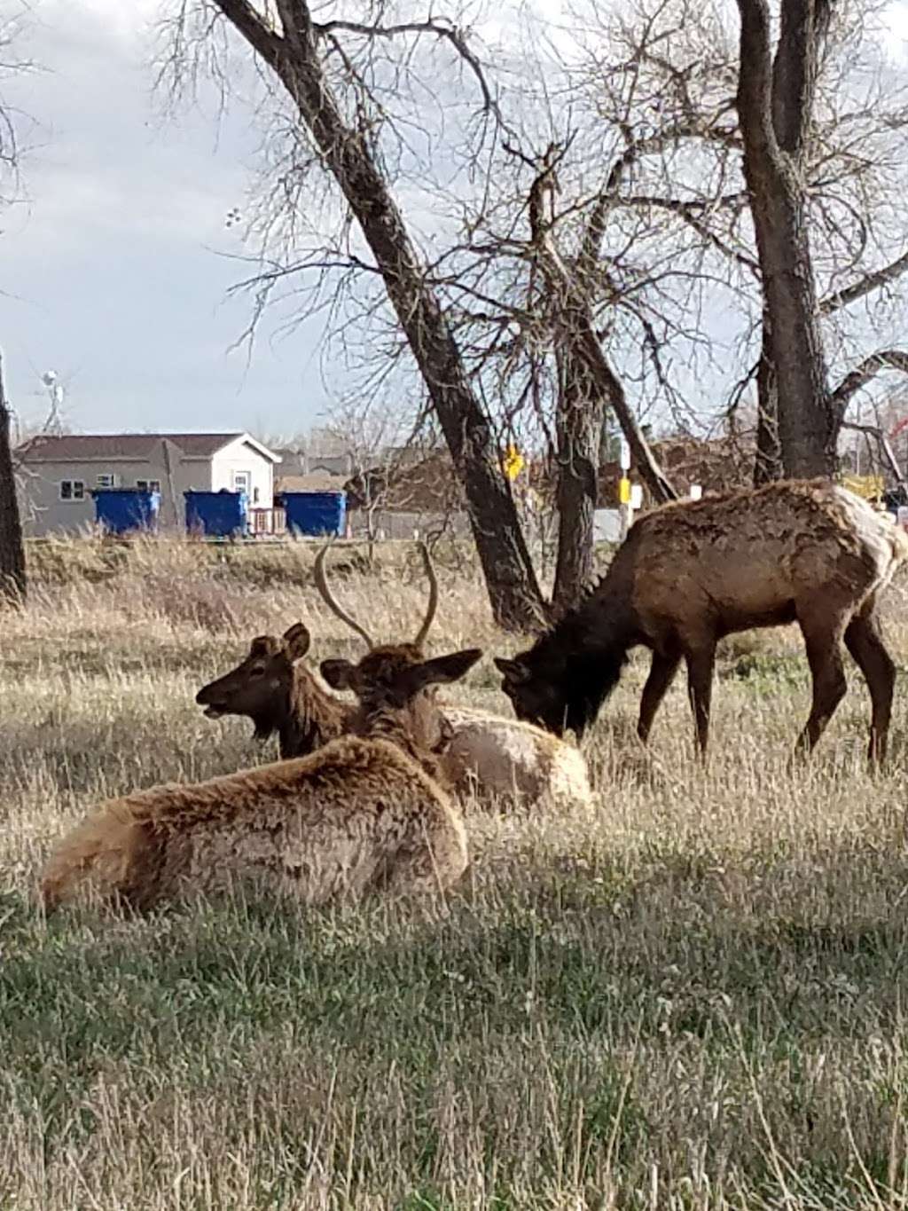 Rivers Edge Natural Area | 960 W 1st St, Loveland, CO 80537, USA | Phone: (970) 962-2327