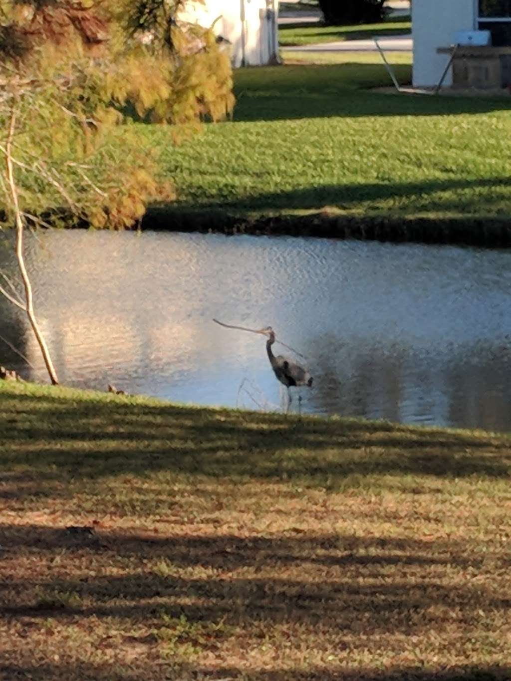 Twin Creeks Park | Melbourne, FL 32940, USA