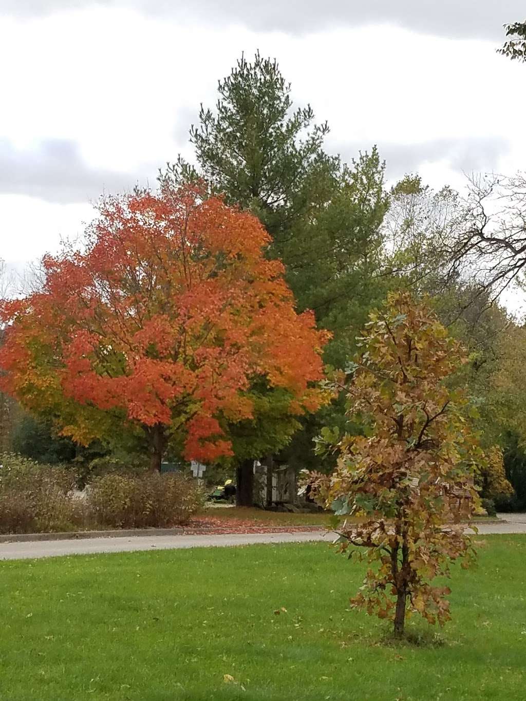 Big Foot Beach State Park | 1550 S Lake Shore Dr, Lake Geneva, WI 53147, USA | Phone: (262) 248-2528