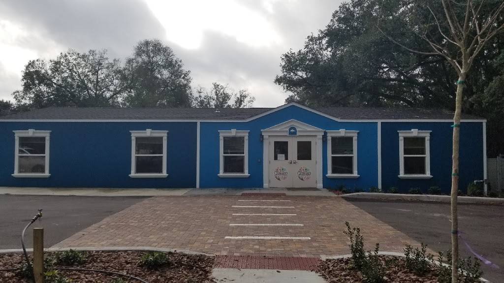 Galileo Montessori Academy | 6620 Gunn Hwy, Tampa, FL 33625, USA | Phone: (813) 291-4961