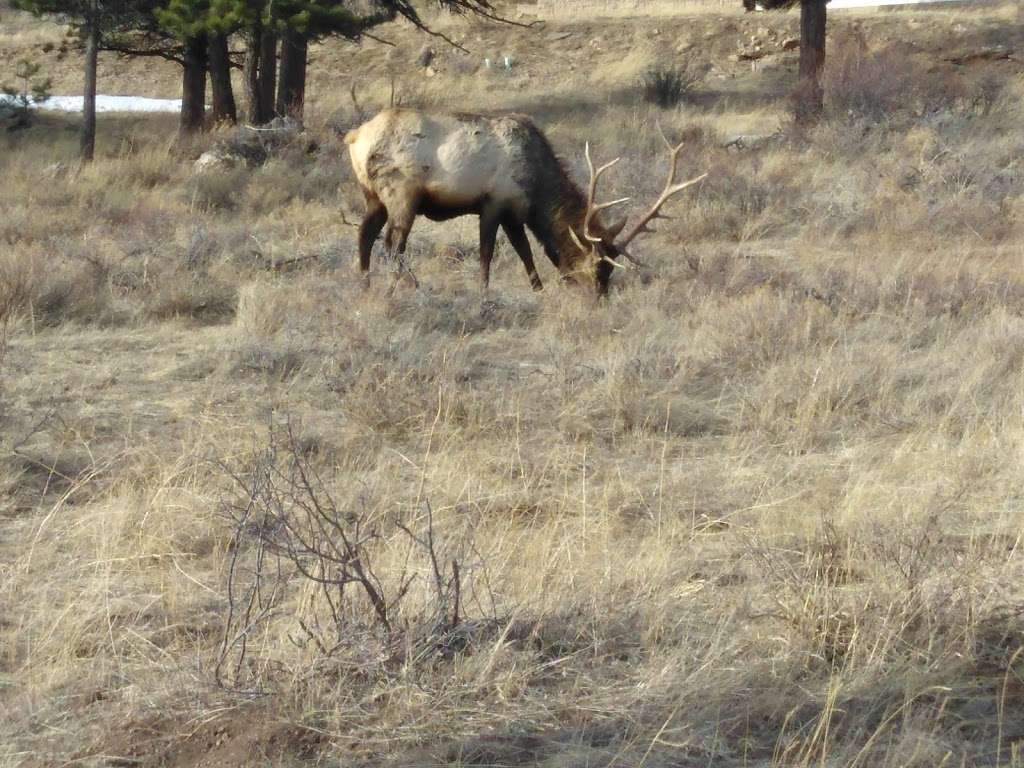 Rocky Mountain Title | 455 E Wonder View Ave # 2B, Estes Park, CO 80517, USA | Phone: (970) 577-1511