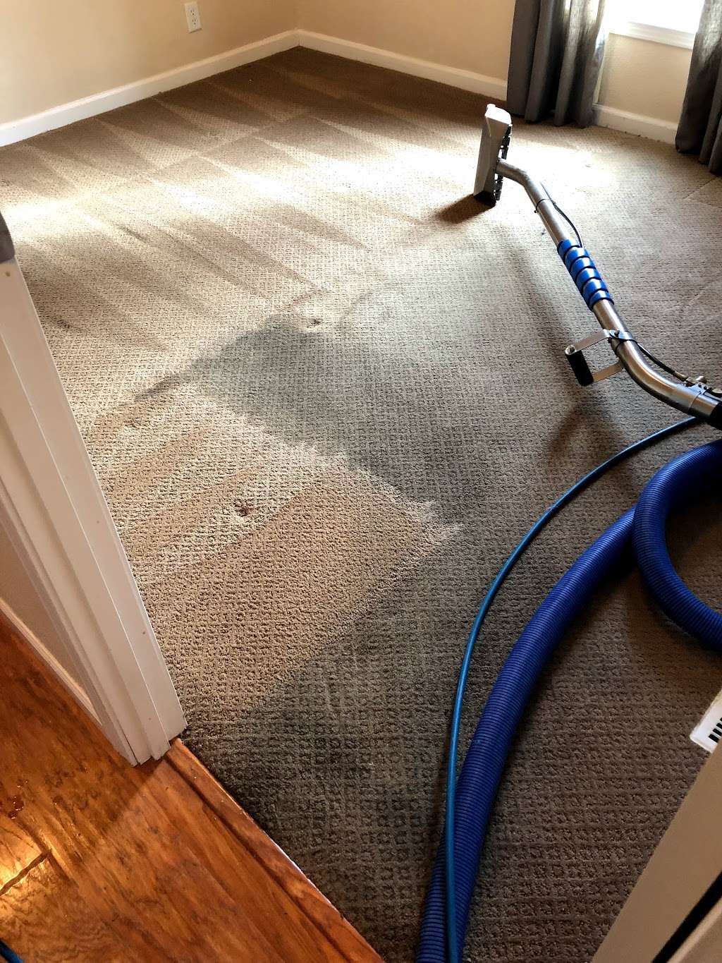 Next Level Carpet Cleaning Care | 4149 Mica Way, Antioch, CA 94531, USA | Phone: (925) 727-4304