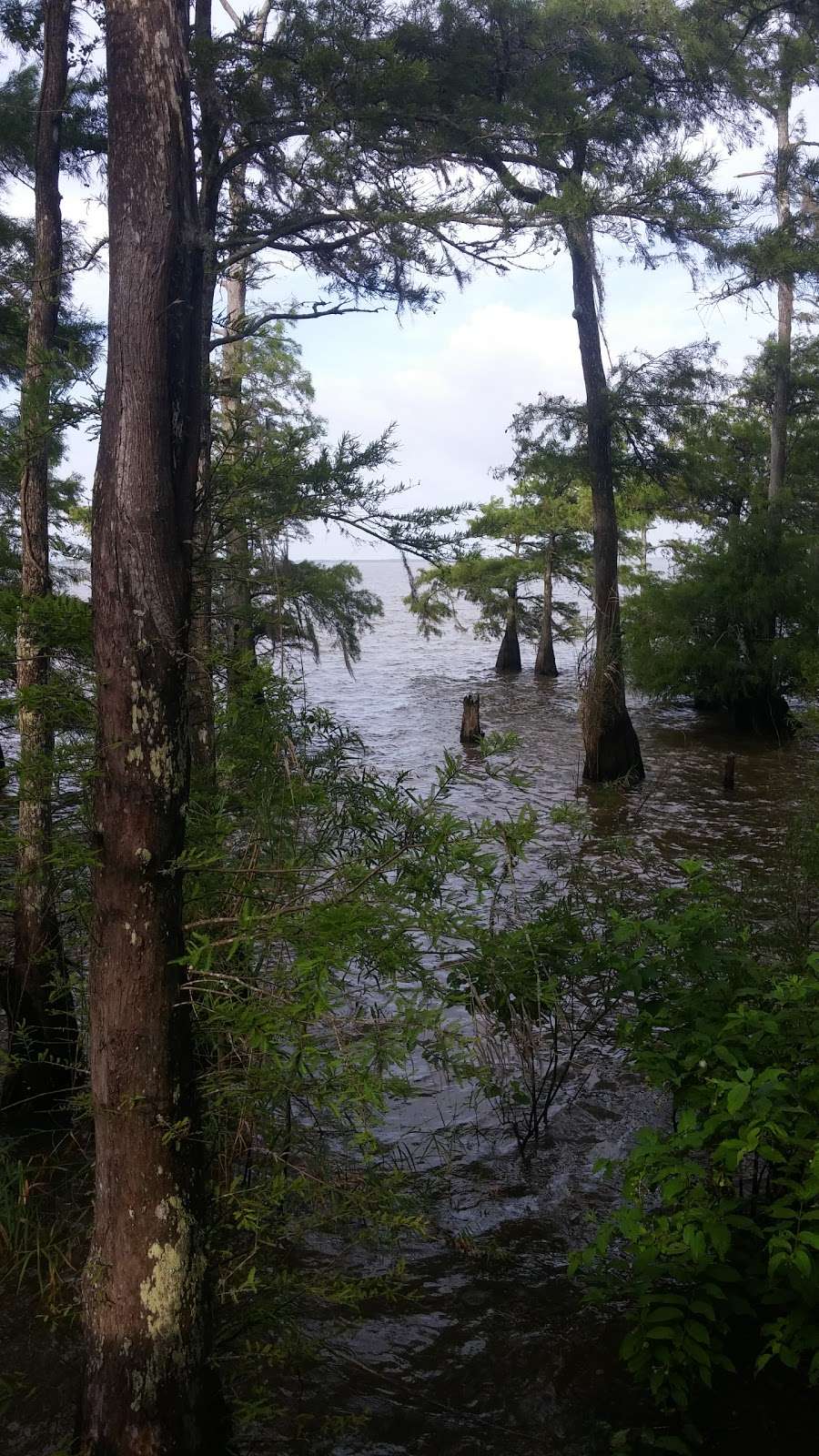 Anahuac National Wildlife Refuge Headquarters | Texas Chenier Plain Refuges Complex, 4017 FM563, Wallisville, TX 77597, USA | Phone: (409) 267-3337