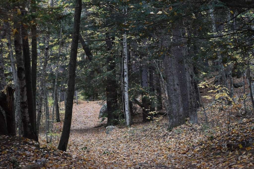 Beaver Brook Association trailhead | Hollis, NH 03049, USA