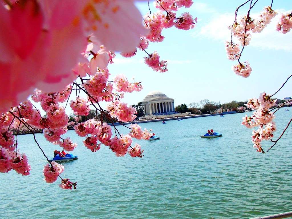 Tidal Basin | 20245 National Dr, Chantilly, VA 20151, USA