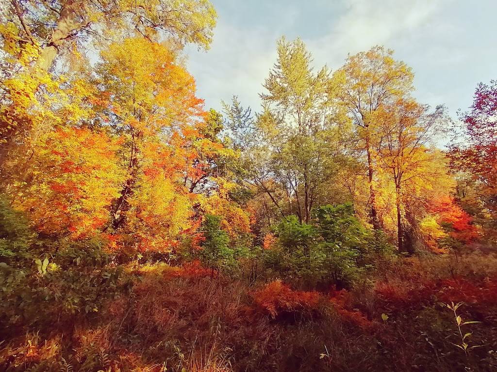 Tallgrass Prairie Heritage Park | Matchette Rd, Windsor, ON N9C, Canada | Phone: (877) 746-4311