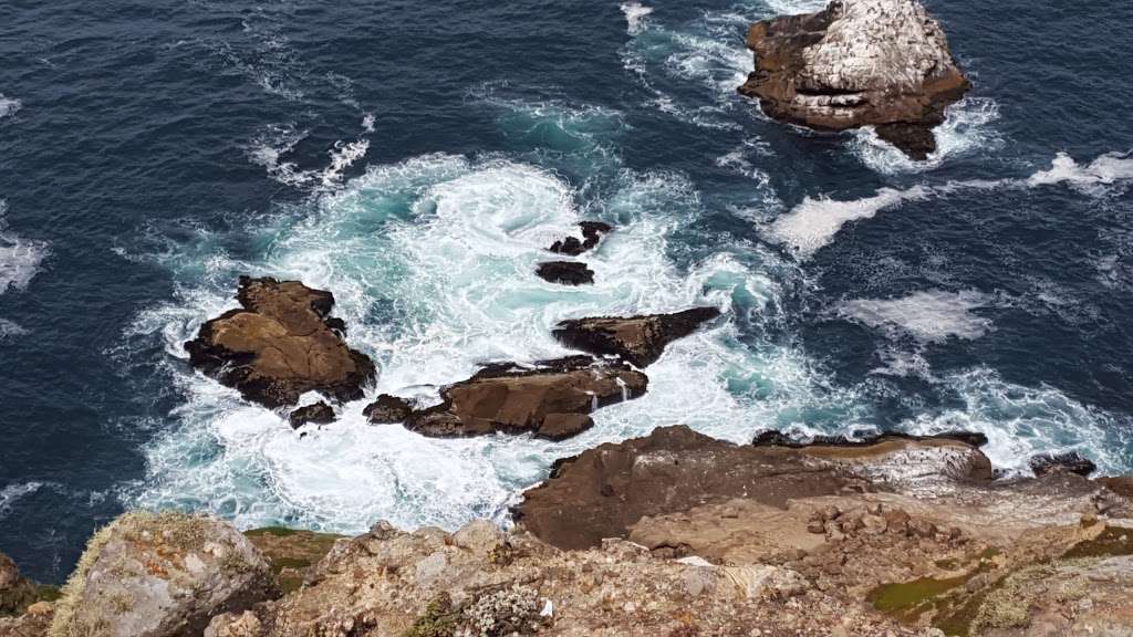 Lighthouse Visitor Center | Lighthouse Visitor Center, 27000 Sir Francis Drake Blvd, Inverness, CA 94937, USA | Phone: (415) 669-1534