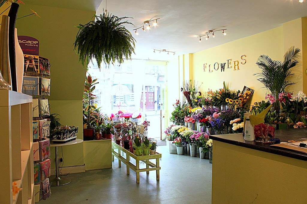 Honor Oak Florist | 64 Honor Oak Park, London SE23 1DY, UK | Phone: 020 8699 1909