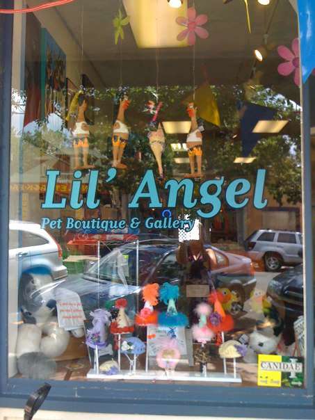 Lil Angel Pet Boutique and Gallery | 1014 S Gaylord St, Denver, CO 80209, USA | Phone: (303) 777-0224