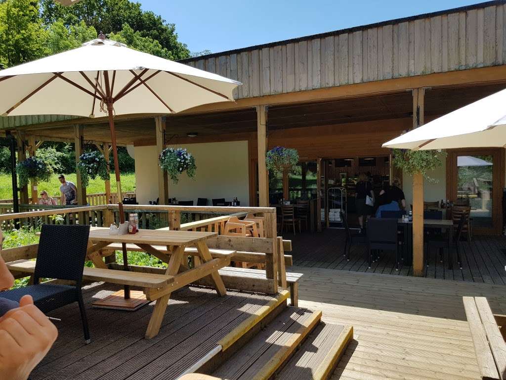 Green Roof Cafe | High Elms Country Park, Shire Ln, Orpington BR6 7JH, UK | Phone: 01689 855439