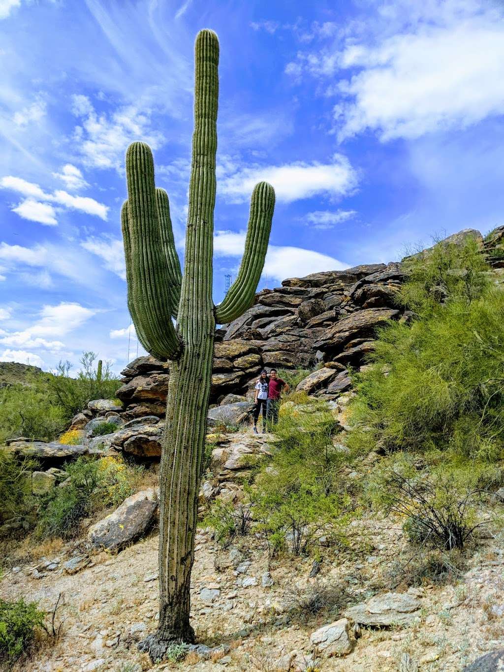 South Mountain Park and Preserve | 10919 S Central Ave, Phoenix, AZ 85042, USA | Phone: (602) 495-5458