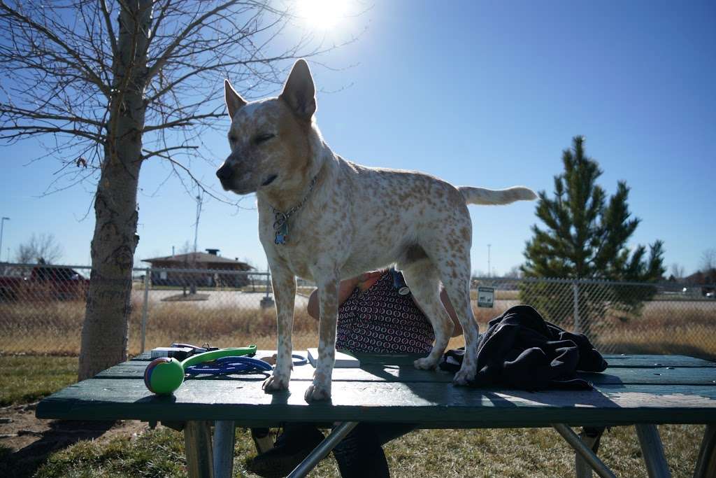 Waggin Tail Dog Park | Balsam Ave, Greeley, CO 80631, USA