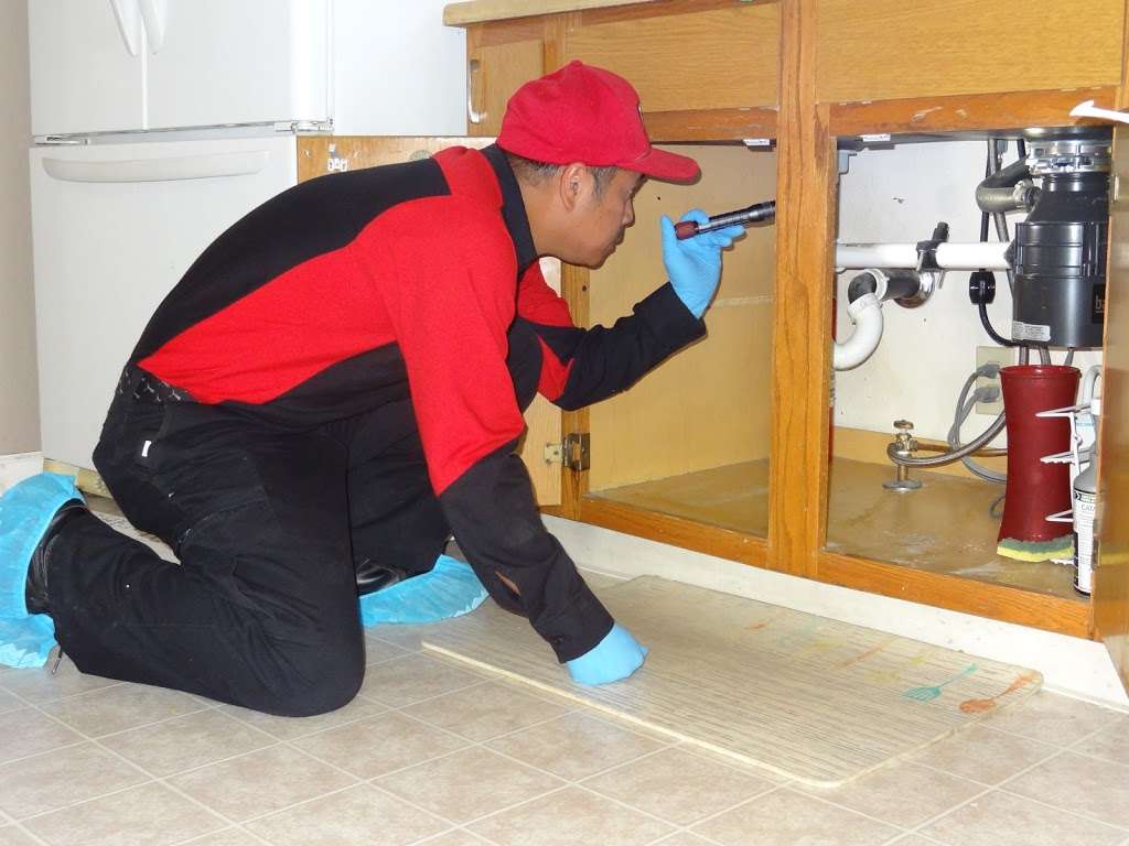 24 Hr Super Pest Control | 29 E 42nd St, Chicago, IL 60653, USA | Phone: (800) 508-9869