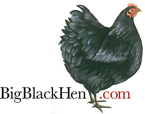 BigBlackHen.com Estate Agents Ware | 12a, The High Oak Business Centre, 15-17 Gentlemens Field, Ware SG12 0EF, UK | Phone: 01920 898002