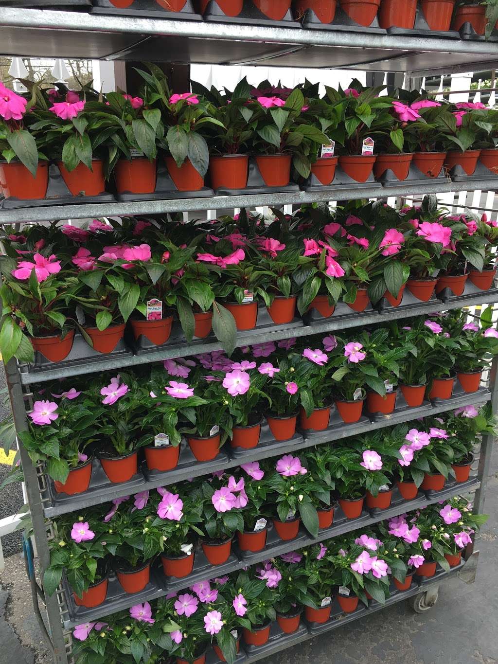 The Garden Dept. | 650 Deer Park Ave, Dix Hills, NY 11746, USA | Phone: (631) 242-3378