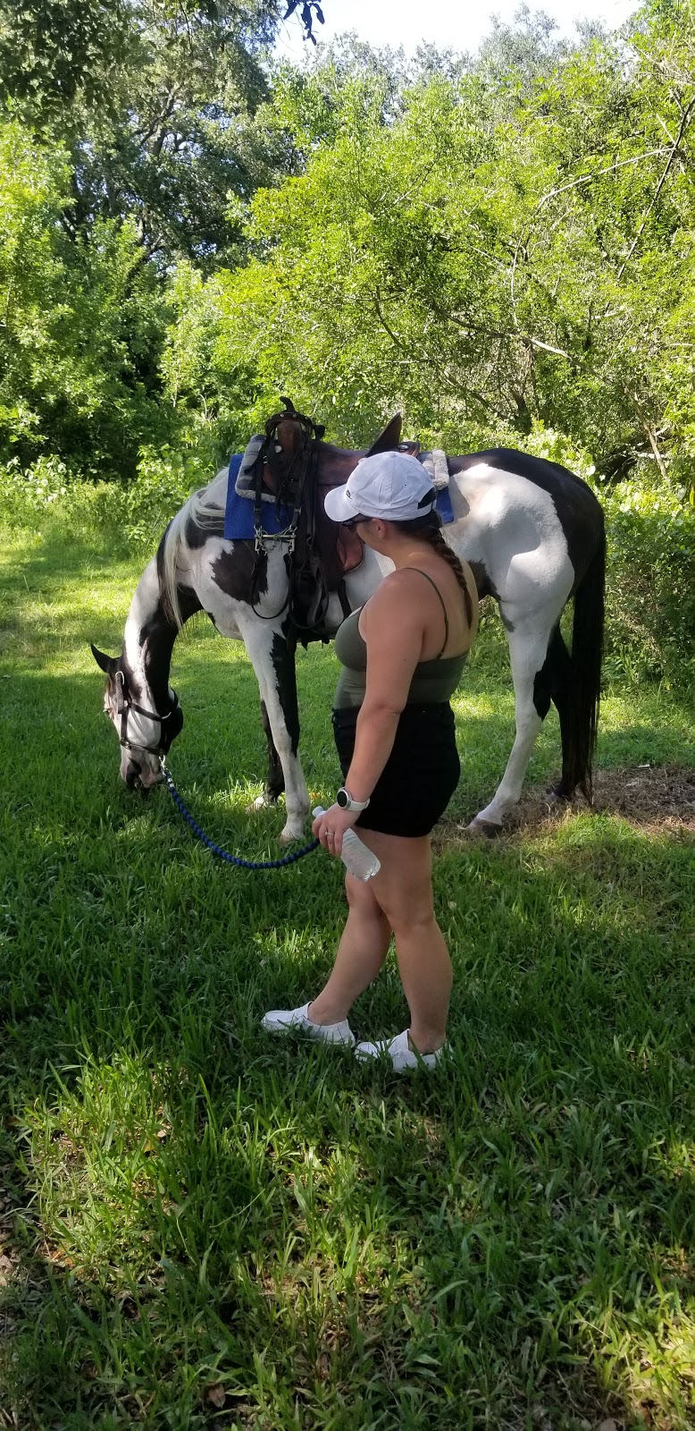 A&A Adventure Horse Trail Rides | Call for reservation, Office only, 2764 SW 83rd Ave, Miramar, FL 33025, USA | Phone: (954) 816-2685