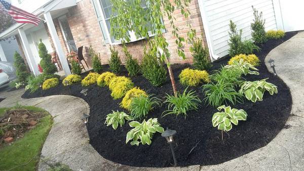 All green nature Landscaping & Lawn care LLC | 98 Sherwood St, Clifton, NJ 07013, USA | Phone: (201) 887-4450