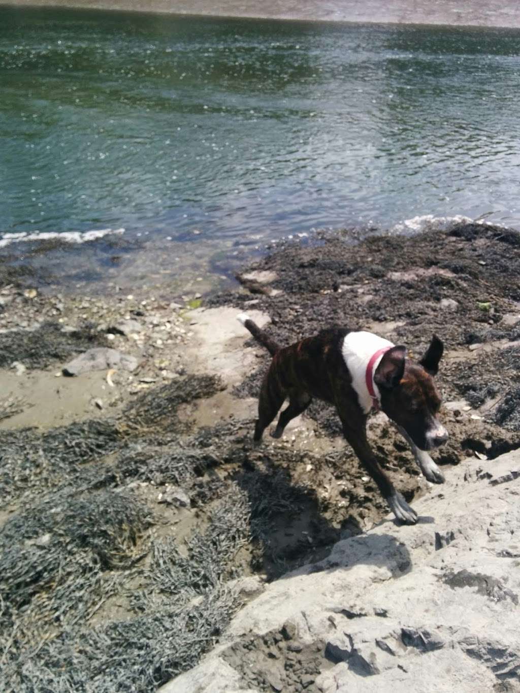 Weir River Estuary Park | Hull, MA 02045, USA | Phone: (781) 925-2000