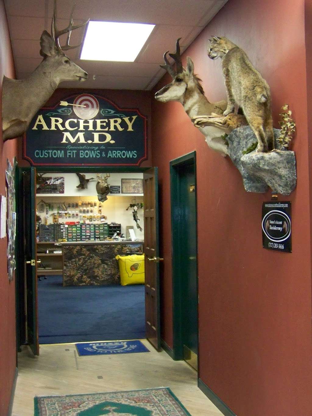 Archery MD LLC | 1167 Reading Rd, Narvon, PA 17555, USA | Phone: (717) 445-0400