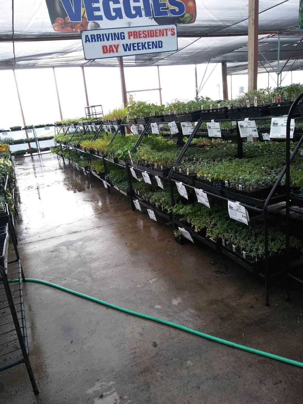 Star Nursery Inc | 6008, 5340 Boulder Hwy, Las Vegas, NV 89122, USA | Phone: (702) 435-7827