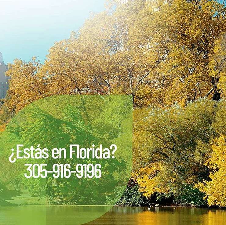 Febres Insurance Agency | 8615 Commodity Cir, Orlando, FL 32819, USA | Phone: (305) 916-9196