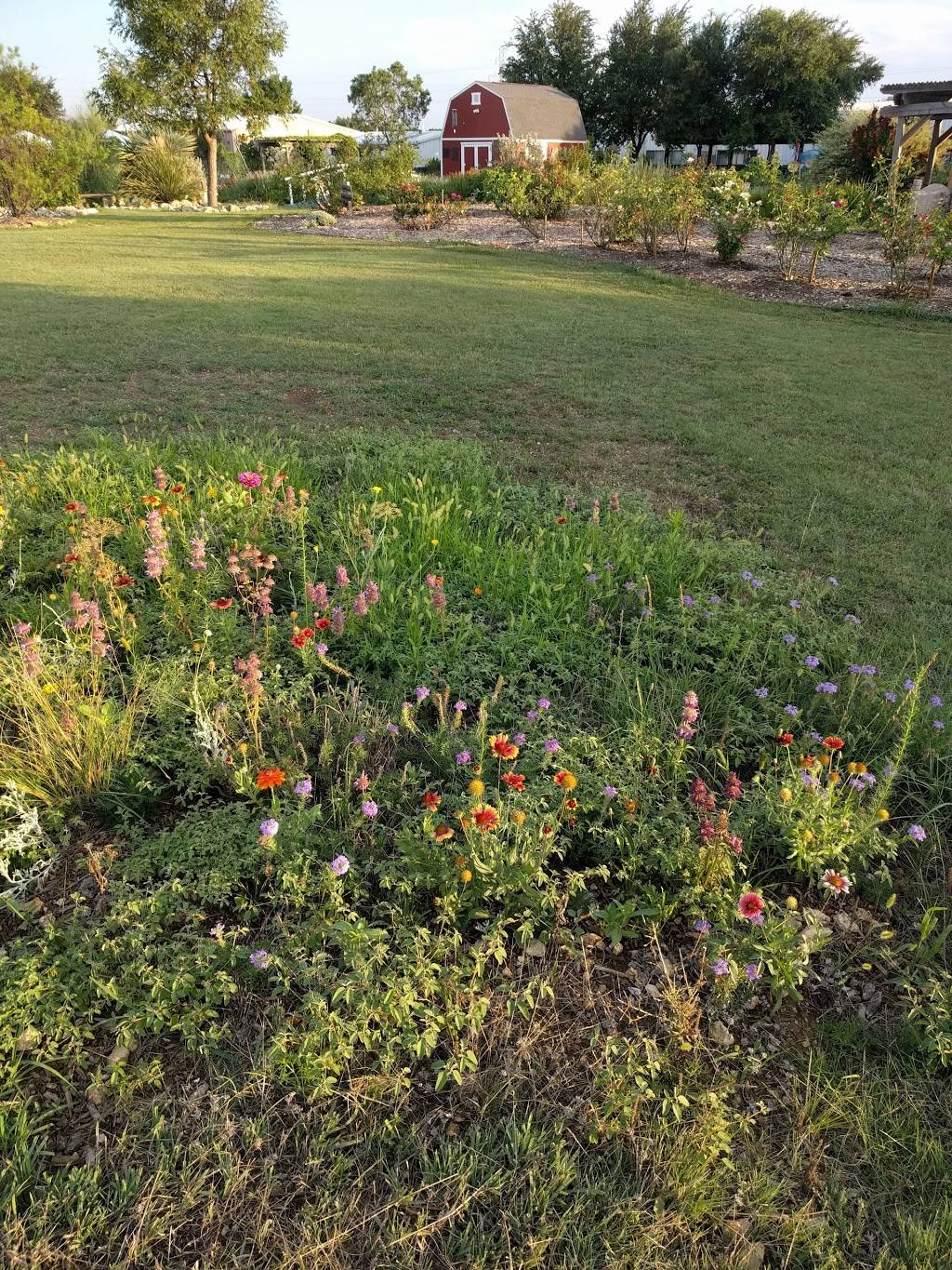 Tarrant County Master Gardeners Community Demonstration Garden | 1801 Circle Dr, Fort Worth, TX 76119, USA | Phone: (817) 884-1944