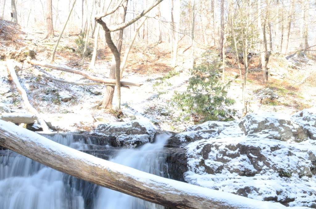 Mt Tammany Red Dot Trail | Kittatinnies Region, Hardwick Township, NJ 07825, USA