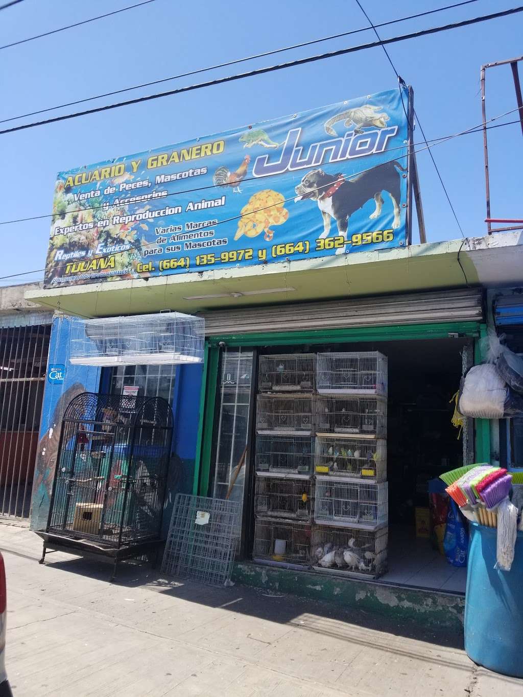 Granero y Acuario Junior | Av. Miraflores 6367, Jardines del Rubi, 22626 Tijuana, B.C., Mexico | Phone: 664 135 9972