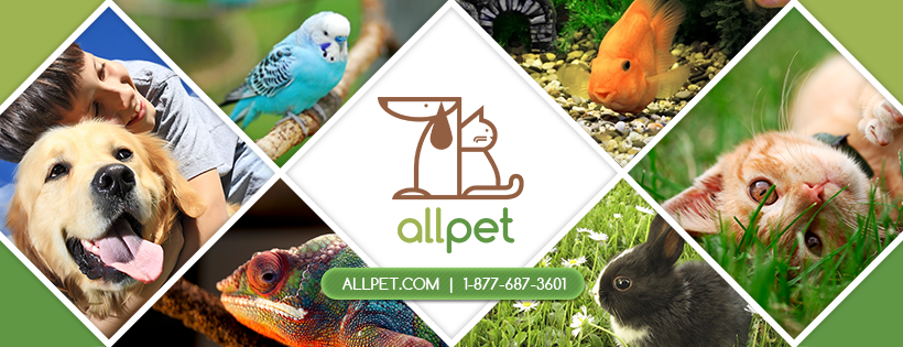 AllPet.com | 355 Crooked Hill Rd, Brentwood, NY 11717, USA | Phone: (877) 687-3601