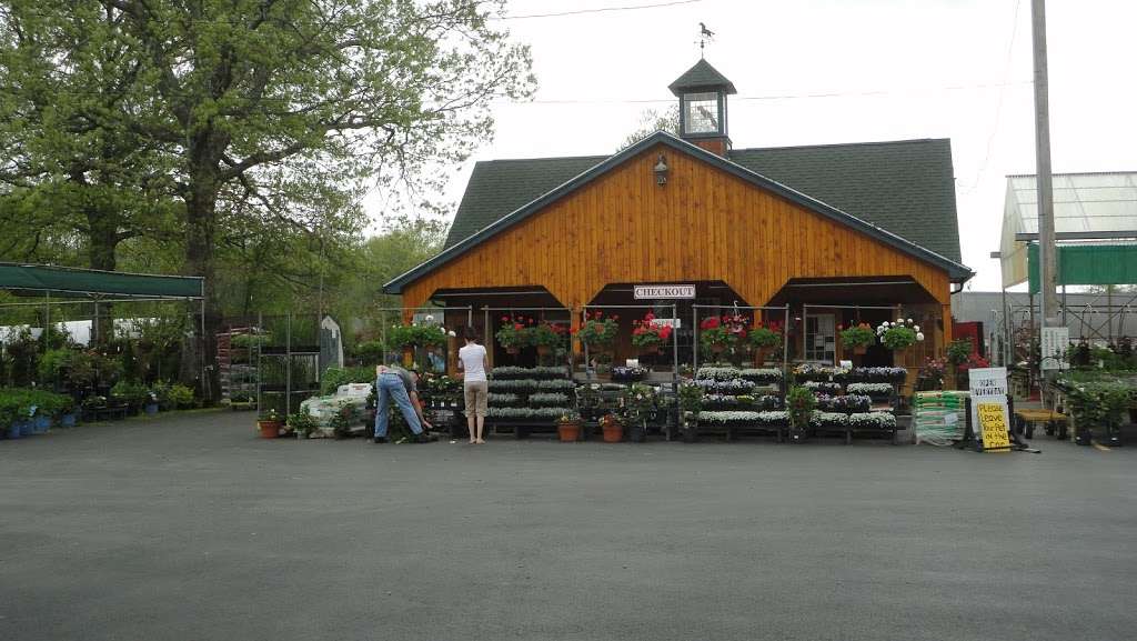 Scituate Nurseries | 767 Hartford Pike, North Scituate, RI 02857, USA | Phone: (401) 934-0581