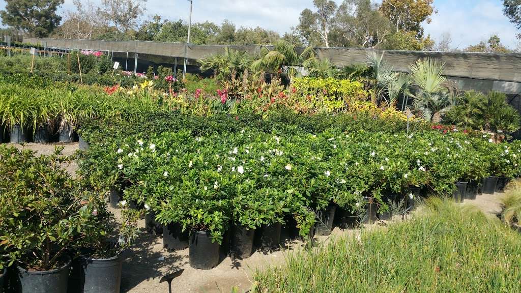 C&S Nursery | 3615 Hauser Blvd, Los Angeles, CA 90016, USA | Phone: (323) 296-6657