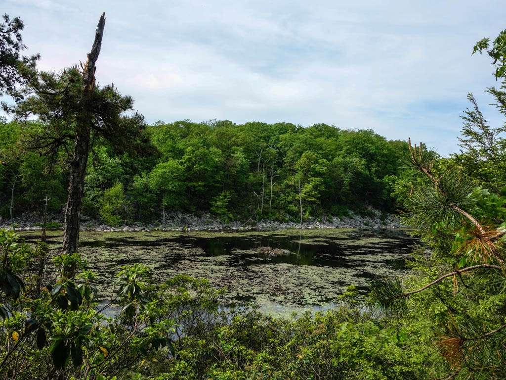 Beaver Pond | Appalachian Trail, Newton, NJ 07860, USA