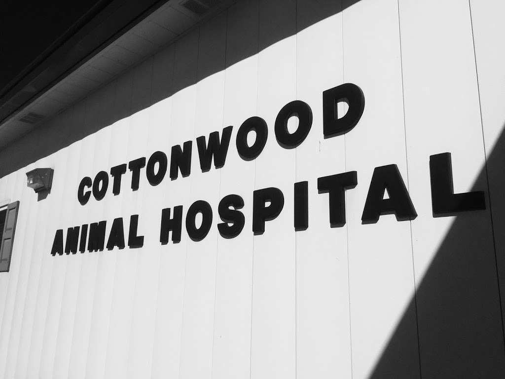 Cottonwood Animal Hospital | 3161 Highway K 68, Ottawa, KS 66067, USA | Phone: (785) 242-7822