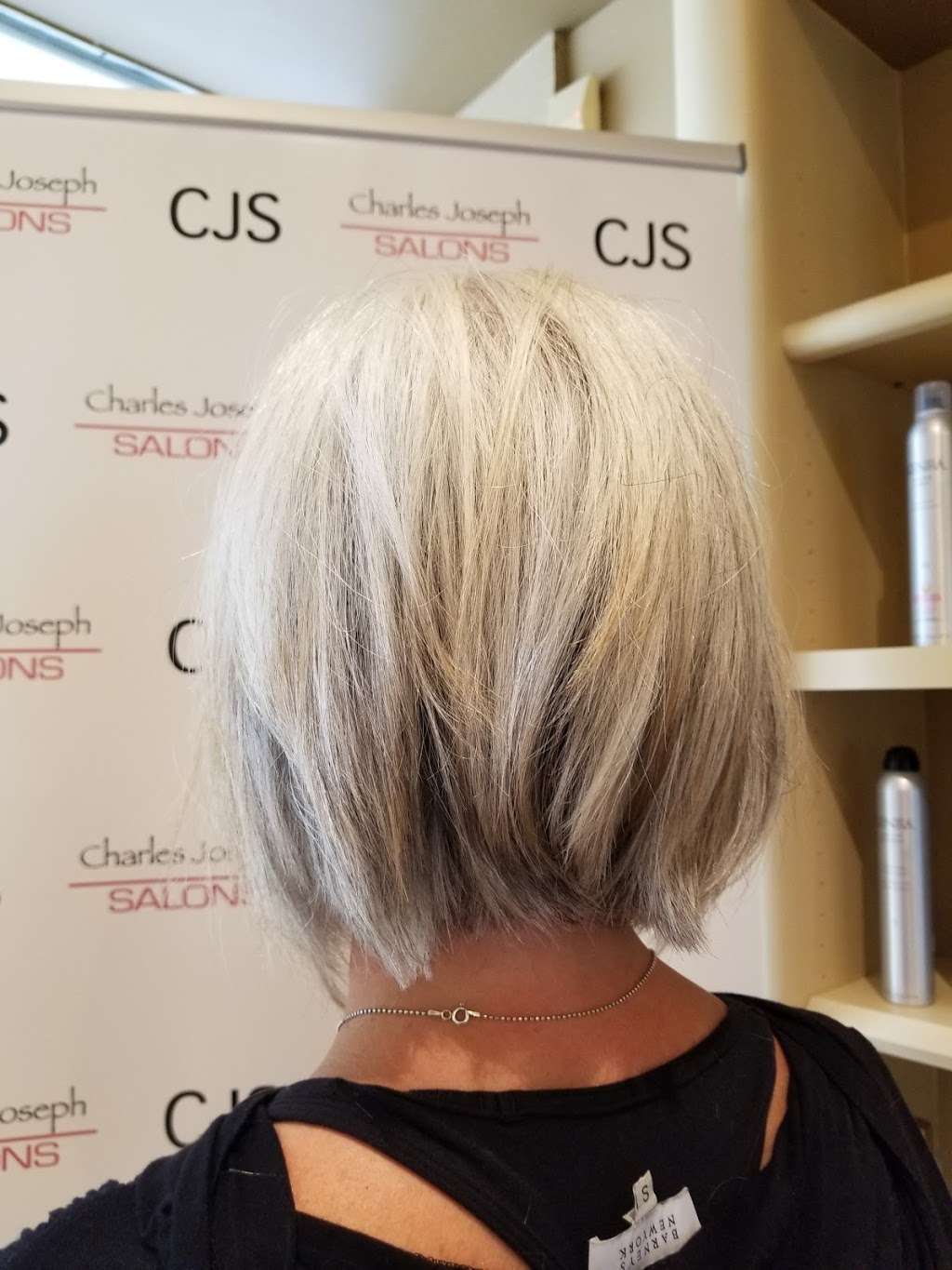 Charles Joseph Salons | 936 High St, Westwood, MA 02090, USA | Phone: (781) 326-8381