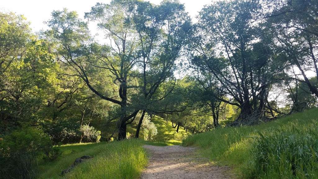 Horne Trail | Blackstone Dr, San Rafael, CA 94903, USA