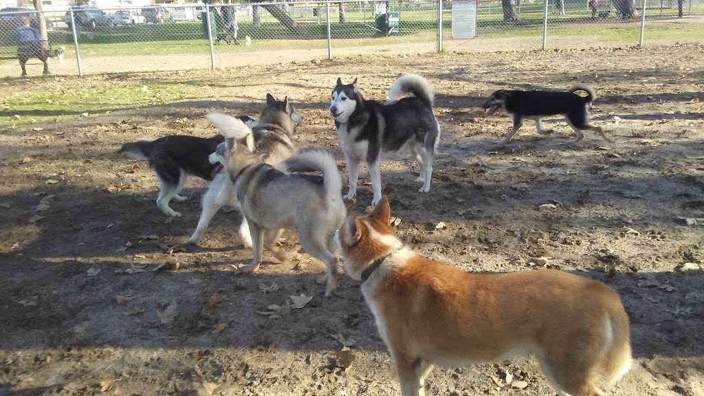 Home Run Dog Park | 20357 Studebaker Rd, Lakewood, CA 90713, USA | Phone: (562) 925-6912