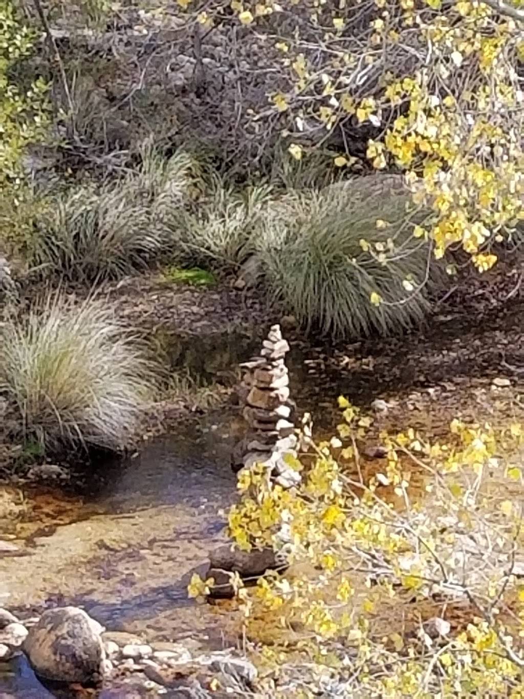 SABINO CANYON RECREATION AREA CACTUS RAMADA 2 | 5700 N Sabino Canyon Rd, Tucson, AZ 85750, USA | Phone: (520) 749-8700