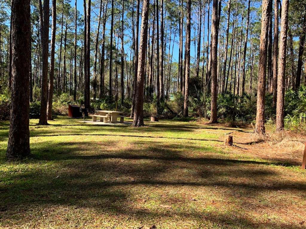 Lake Dorr Recreation Area | 19331-19241 Dorrwood Ln, Altoona, FL 32702, USA