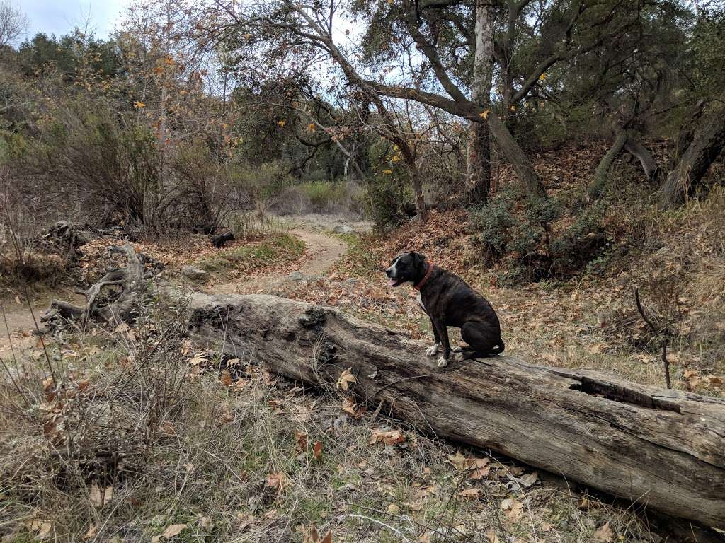 Marshall Canyon Regional Park | 6550 Stephens Ranch Rd, La Verne, CA 91750, USA | Phone: (909) 593-3036