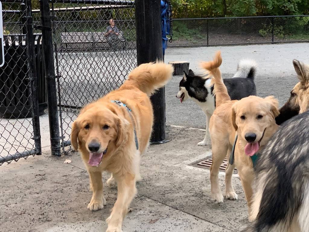 Essex County Branch Brook Dog Park | Branch Brook Park Dr, Newark, NJ 07107, USA | Phone: (973) 268-3500